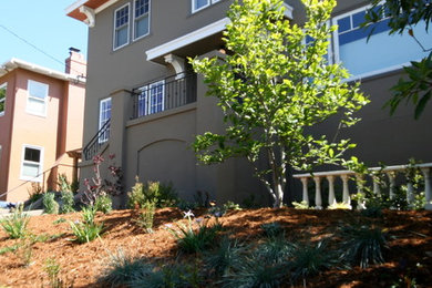 Gray two-story stucco exterior home photo in San Francisco