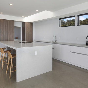 Contemporary Oasis