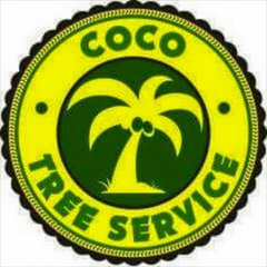 Cocotreeservice