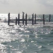 Maryann Allen's photo