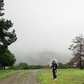 Anna Towerss foto