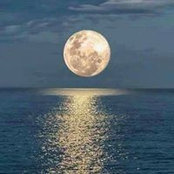 Mina Schultz's photo