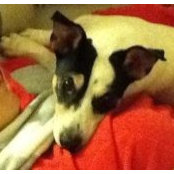 Foto de Charene Iversen Phillips
