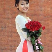 Bình Lyさんの写真