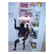 Barbara Boeh's photo