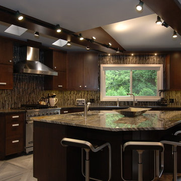Highland Park Contemporary Kitchen Renovation
