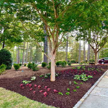 Spring and Summer Annuals Landscape Beds