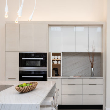Contemporary with Neutral Colorway in Potomac, MD