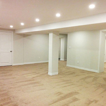 Open Concept Basement