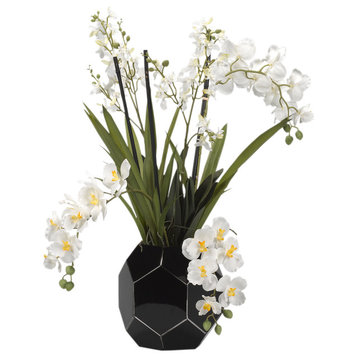Cream Vanda and Dendrobium Orchids in Black Glass Bowl