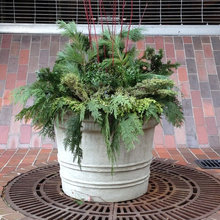Planter