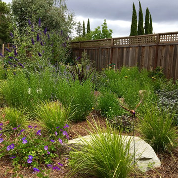 From Weeds to Welcome Home!
