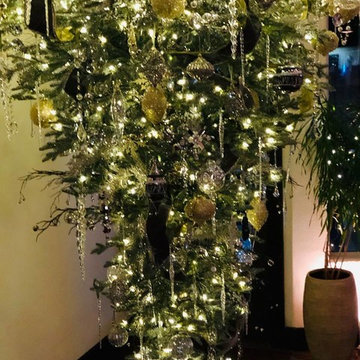 Christmas Trees & Decor