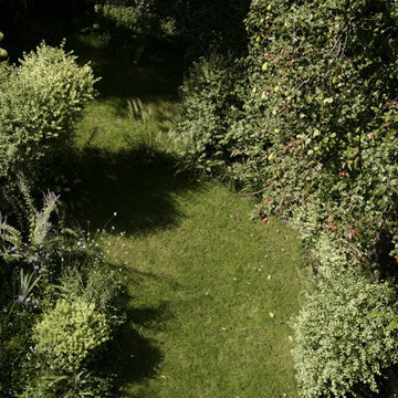 Jardins miniatures