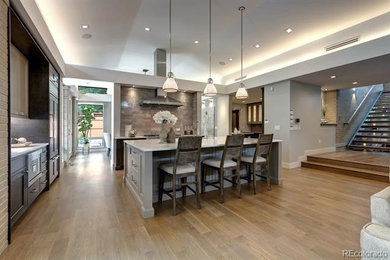This is an example of a large contemporary home design in Denver.