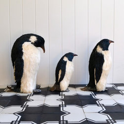 Sabine Hill - Cement Encaustic Tile - Tile