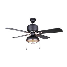 Ceiling Fans