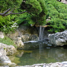 ponds/water features