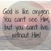 Amanda Lucas's photo