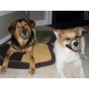 Jennifer Metz Flick's photo