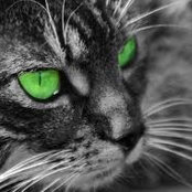 Ruth Black's photo