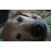 Julie Parton's photo