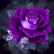 Deborah Isaacs's photo