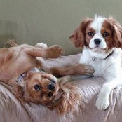 Betsy Beall's photo