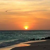 Carol Maloney's photo