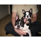 Tina Buckley's photo
