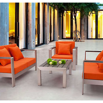 Contemporary Back Yard