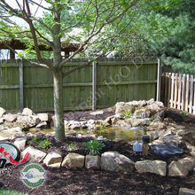 Knox Backyard Ideas