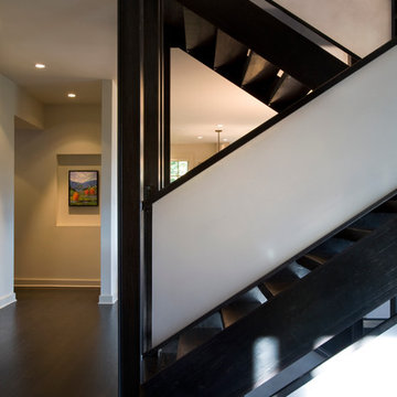 Contemporary Full Home Design in Raspberry Patch, CO