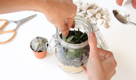 DIY : Créer un terrarium dans un petit bocal