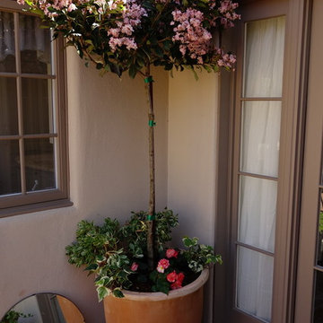CONATAINER GARDENS BRING LIFE TO PLAIN PAITO, La Jolla, California