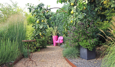 Gartenbesuch: Wogende Natur bei Neuss