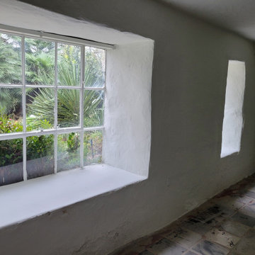 Lower Level Paint- Main House