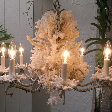 Sea Shell Chandeliers
