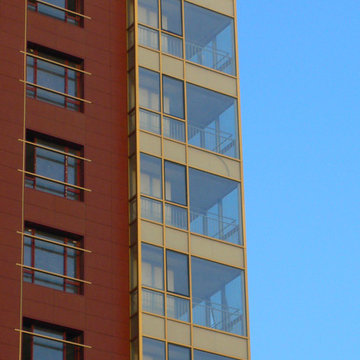 The Reflections