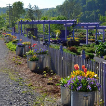 garden containers/ raised beds
