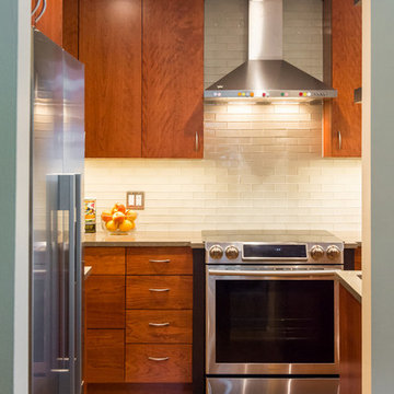 Ann Arbor "Tiny" Kitchen remodel