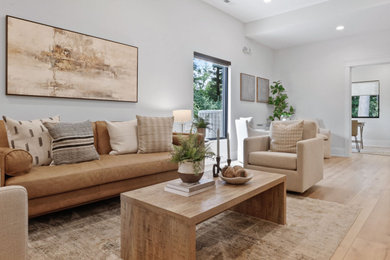 Example of a living room design in Chicago