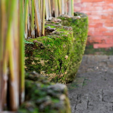 Villa Mizu - Tropical Garden Design in Bali