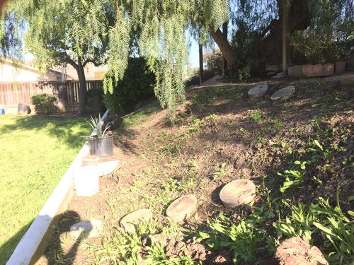 Ideas For Tiered Slope Landscape Zone 10 San Go