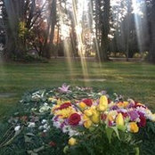 Mike Shey's photo