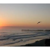 Lynn Kinne's photo