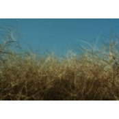 Santanu Borah's photo