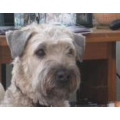 Carol Mladinich's photo