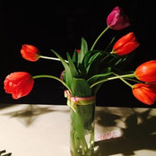 Renee Batt's photo