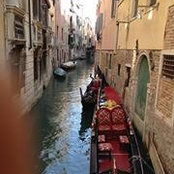 Jacqui Thornell's photo